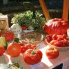 img_9278_000.jpg
