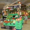 mercator_tr__nica_99_1.jpg