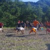 imgp1583_000.jpg