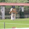 img_0699_000.jpg