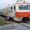 dsc_0926.jpg