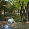 poplave0025.jpg