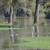 poplave0006.jpg