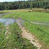 poplave_2012_001.jpg