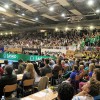 krka_olimpija_superpokal_01.jpg