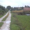 pict0859_000.jpg