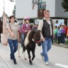 korenje025.jpg