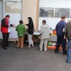 soncek_017.jpg