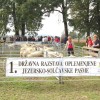 adsc_0024.jpg