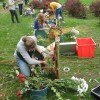 vara__din_2012_065.jpg