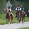 c_konjeniki_039.jpg