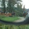 c_konjeniki_016.jpg