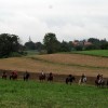 c_konjeniki_035.jpg