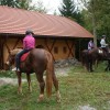 c_konjeniki_038.jpg