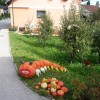bu__ni_aran__maji_2012_110.jpg