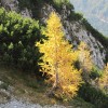 logarska_031.jpg