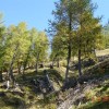 logarska_039.jpg