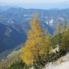 logarska_032.jpg