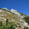 logarska_017.jpg