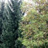 20121010_1282.jpg