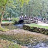 dscn7581_lok.jpg