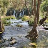 dscn8298lok_000.jpg