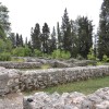 dscn8257lok_000.jpg