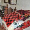 dscn7785_lok.jpg