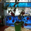 img_9627_000.jpg