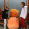img_9591_000.jpg