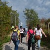 primorska_003.jpg