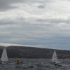 sam_0137_000.jpg