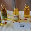 borza_za_lokalno_19.jpg