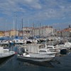 dsc_0532.jpg