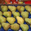 borza_za_lokalno_09.jpg