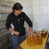 kmetijska___ola_09.jpg