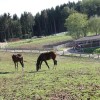 kmetijska___ola_13.jpg