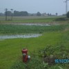 brezina_008.jpg
