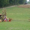 razstava_001.jpg