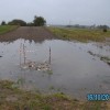 brezina_011.jpg