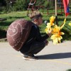 dvor018.jpg
