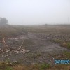 brezina_003.jpg