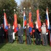 cvibelj014.jpg