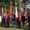 cvibelj013.jpg