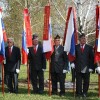 cvibelj012.jpg