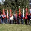 cvibelj006.jpg