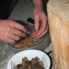 oreh_023.jpg