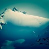 aurora_polaris_1.jpg