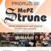 strune_vabilo2012__3_.jpg