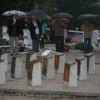 img_9855_000.jpg